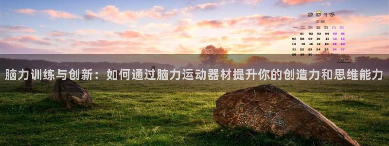 征途国际招商电话号码查询：脑力训练与创新：如何通过脑力运动器