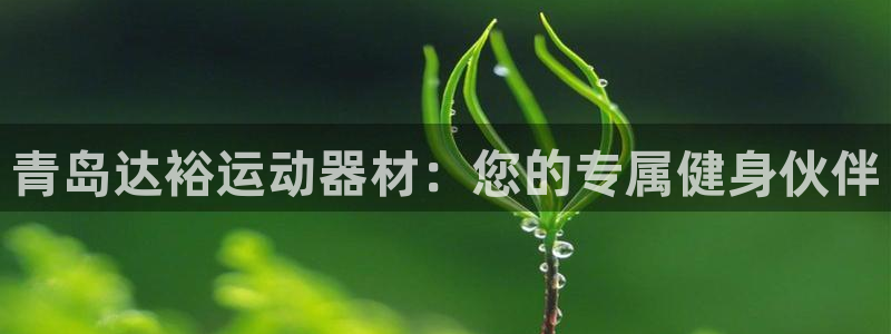 征途国际平台