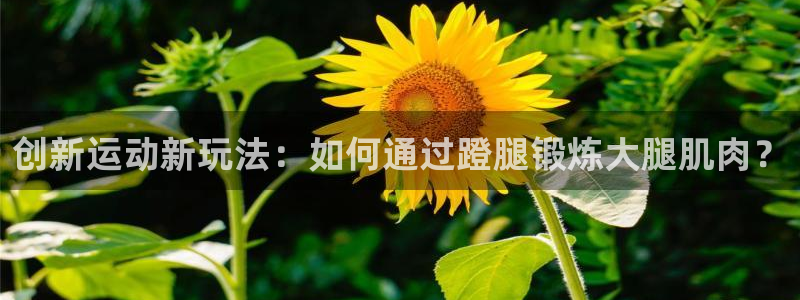 征途国际招商