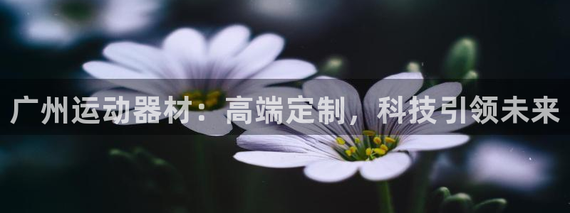征途国际招商电话号码查询是多少：广州运动器材：高端定制，科技