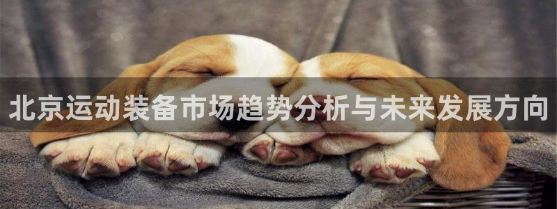 征途国际娱乐平台