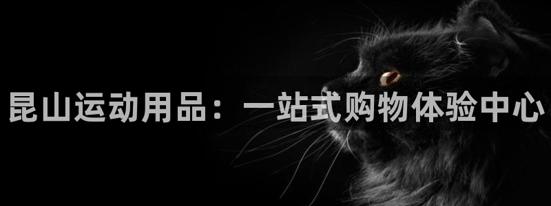 征途国际招商电话是多少：昆山运动用品：一站式购物体验中心
