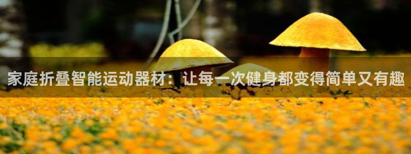征途国际平台体育：家庭折叠智能运动器材：让每一次健身都变得简