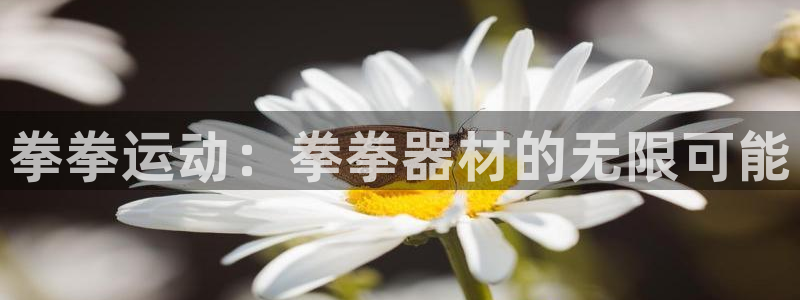 征途国际平台注册要钱吗：拳拳运动：拳拳器材的无限可能