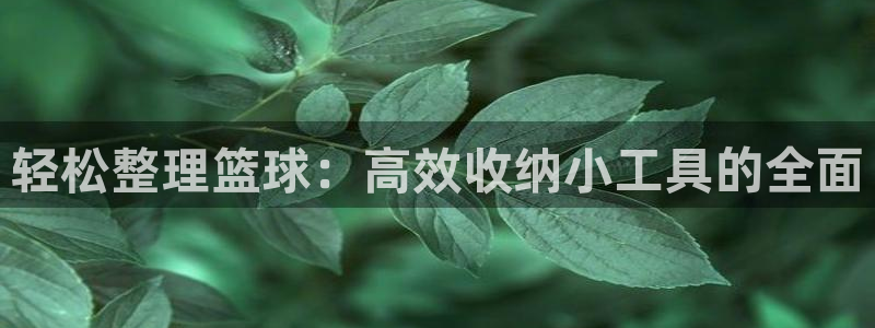 海南征途国际：轻松整理篮球：高效收纳小工具的全面