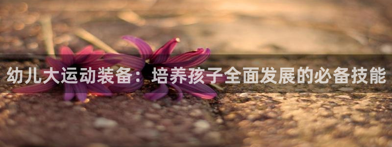 征途国际招商电话是多少啊：幼儿大运动装备：培养孩子全
