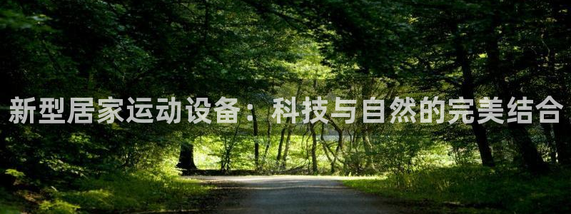 海南征途国际