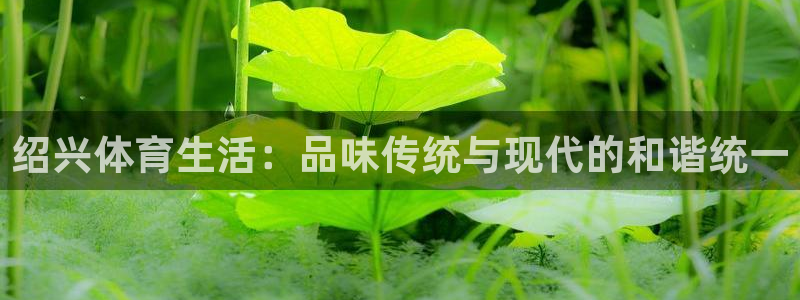 征途国际集团官网首页网址：绍兴体育生活：品味传统与现代的和谐