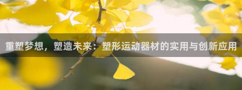 征途国际开户：重塑梦想，塑造未来：塑形运动器材的实用与创新应