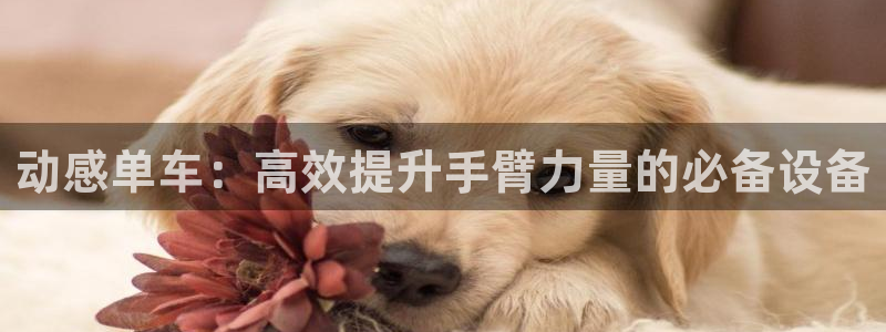 征途国际五金厂：动感单车：高效提升手臂力量的必备设备