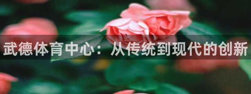征途国际官方客服电话：武德体育中心：从传统到现代的创新