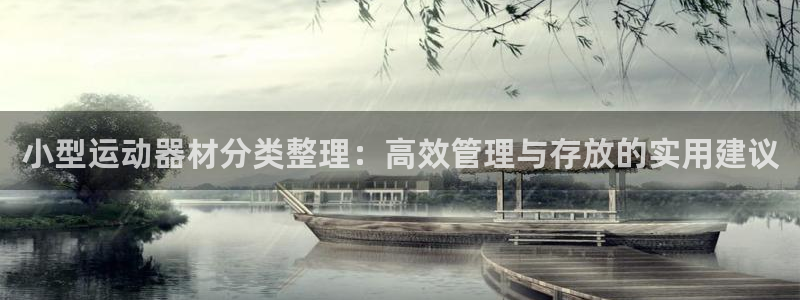 征途国际娱乐40996：小型运动器材分类整理：高效管理与存放