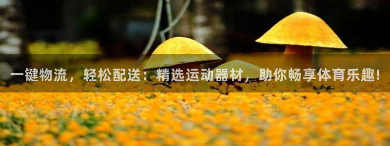 征途国际是干嘛的公司：一键物流，轻松配送：精选运动器材，助你