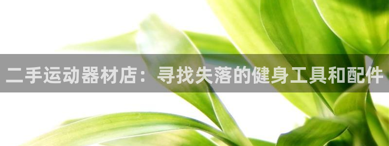 征途国际平台假的吗是真的吗：二手运动器材店：寻找失落的健身工