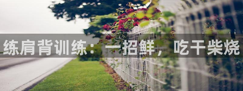 征途国际平台体育：练肩背训练：一招鲜，吃干柴烧
