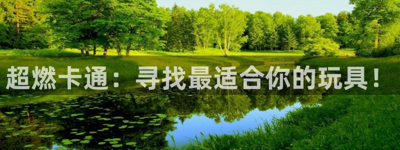 征途国际娱乐代理怎么样：超燃卡通：寻找最适合你的玩具！