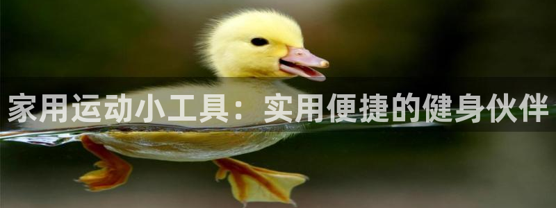 征途国际平台APP：家用运动小工具：实用便捷的健身伙