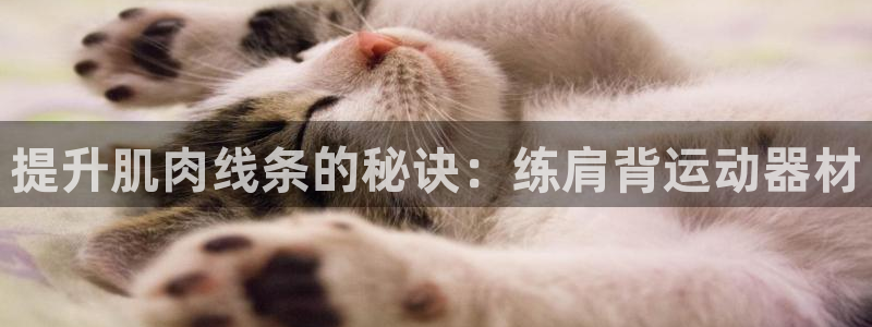 征途国际招商电话是多少号码：提升肌肉线条的秘诀：练肩