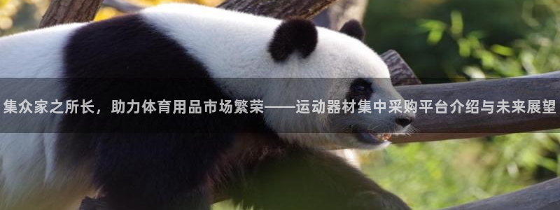 征途国际平台体育：集众家之所长，助力体育用品市场繁荣