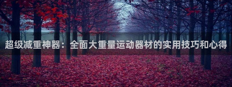 征途国际代理：超级减重神器：全面大重量运动器材的实用技巧和心