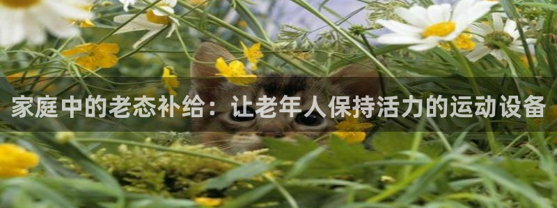 征途国际平台注册要钱吗是真的吗：家庭中的老态补给：让老年人保