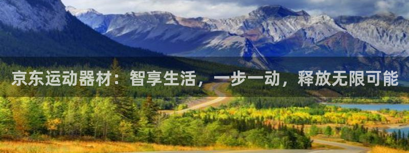 征途国际娱乐下载：京东运动器材：智享生活，一步一动，释放无限