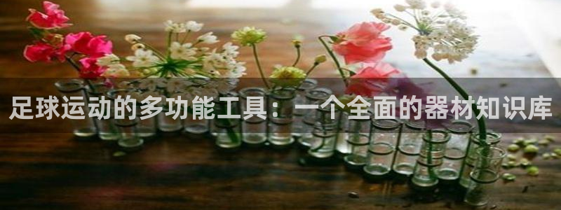 征途国际集团官网首页网址